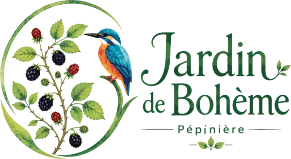 Jardin de Bohème, pépinière