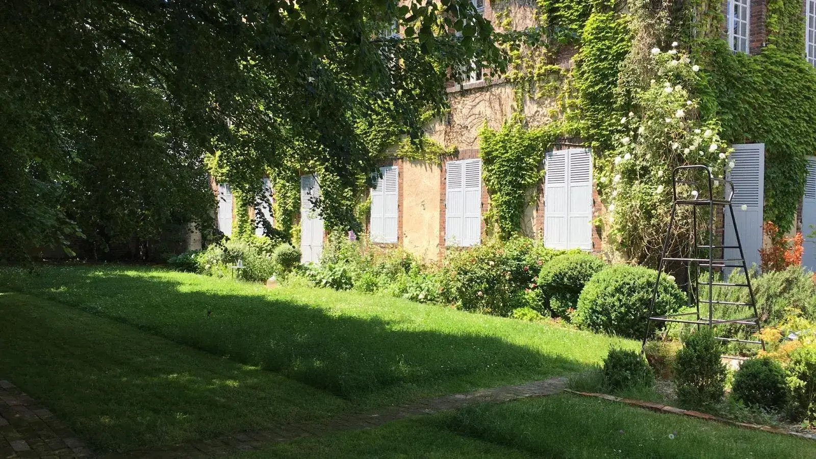 Façade d'une maison de maître aux volets clairs, entièrement couverte de vigne vierge et de rosiers grimpants, devant une pelouse ombragée