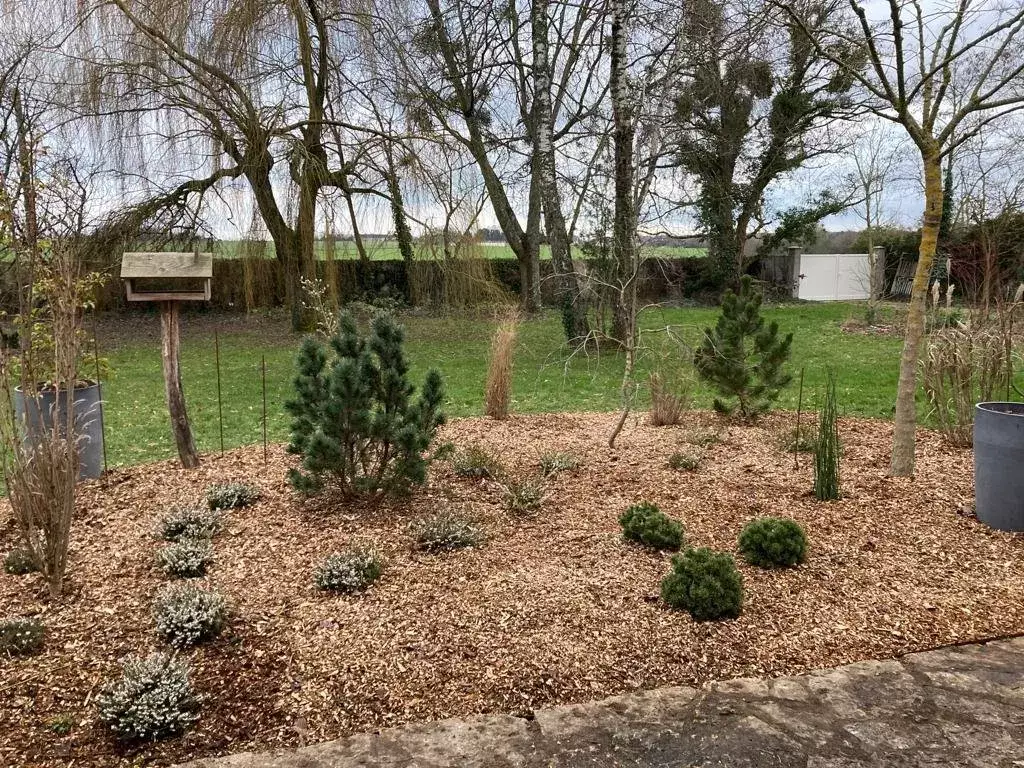 Jeune massif de conifères nains et de vivaces argentées paillé de copeaux de bois, nichoir sur pied et saules nus en arrière-plan