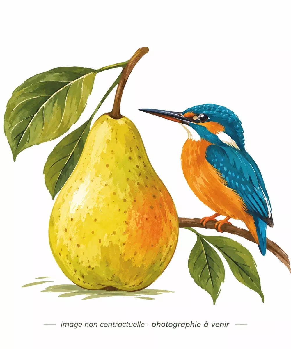 Dessin de poires et d'un martin-pêcheur, image non contractuelle