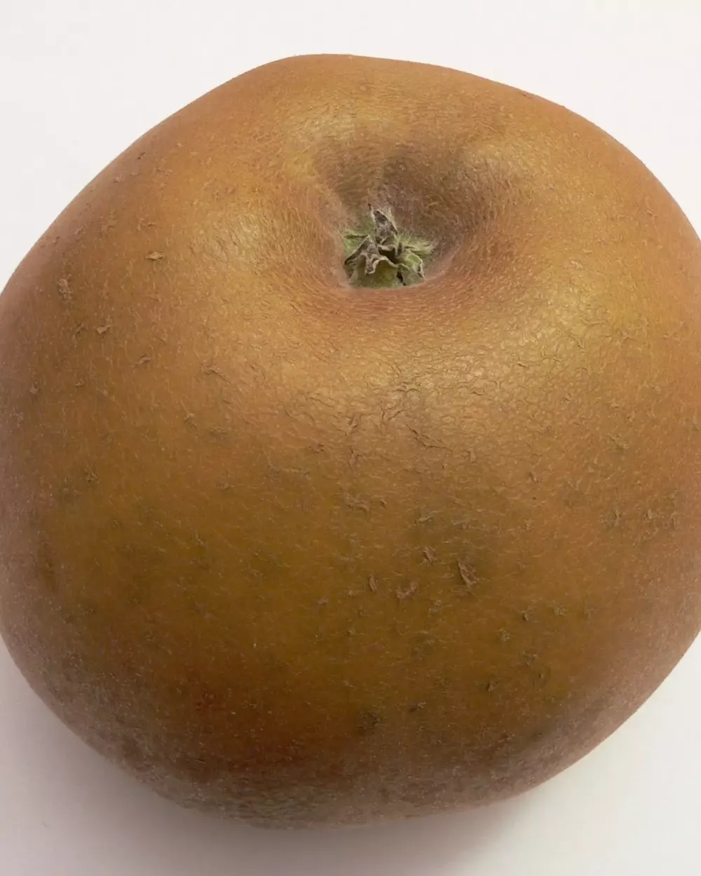 Pomme Reinette grise du Canada à la peau entièrement rugueuse et brune, sur fond blanc