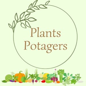 Plants potager bio