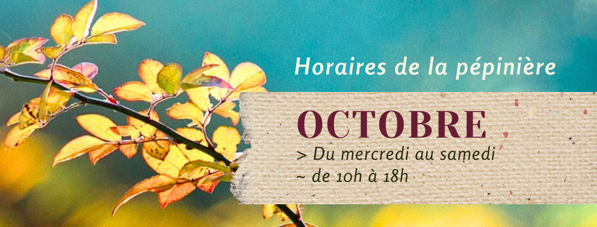 https://jardindeboheme.fr/wp-content/uploads/2024/10/Vert-Photo-Beaute-Soins-de-peau-Facebook-Couverture.png