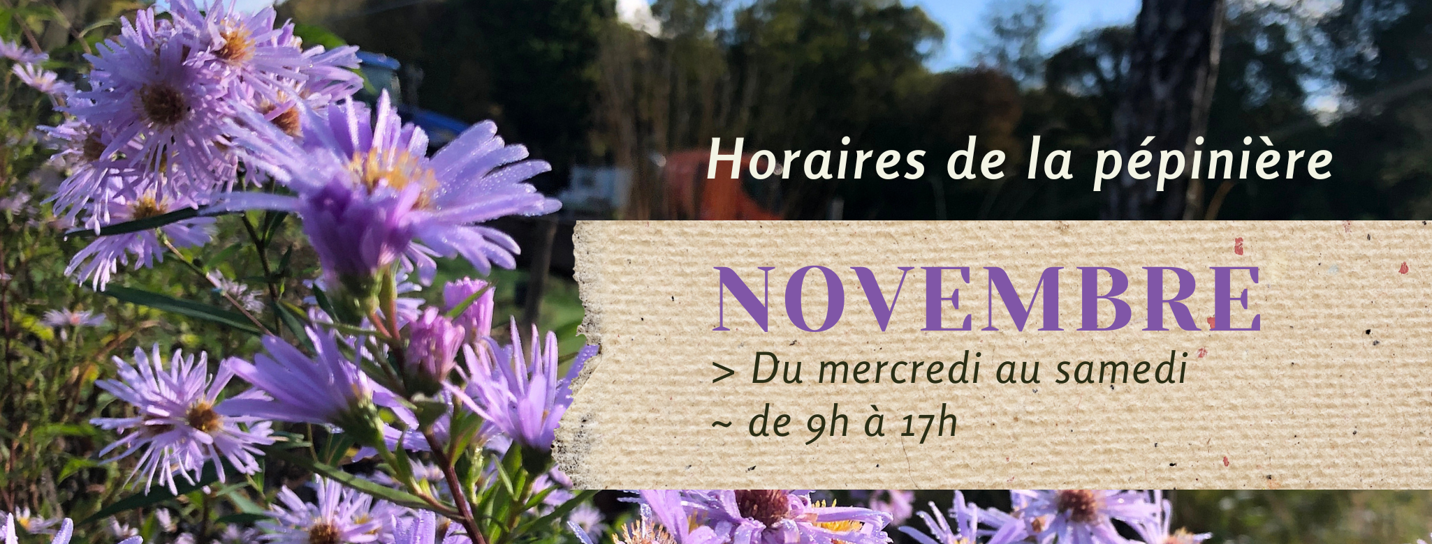 https://jardindeboheme.fr/wp-content/uploads/2024/11/nov-24.png